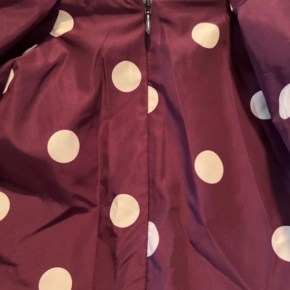 Zara Burgundy and White Puff Sleeve Blouse
